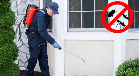 Nurhak Fare İlaçlama böcek ilaçlama ve haşere kontrolü — ilaclama-tr.com